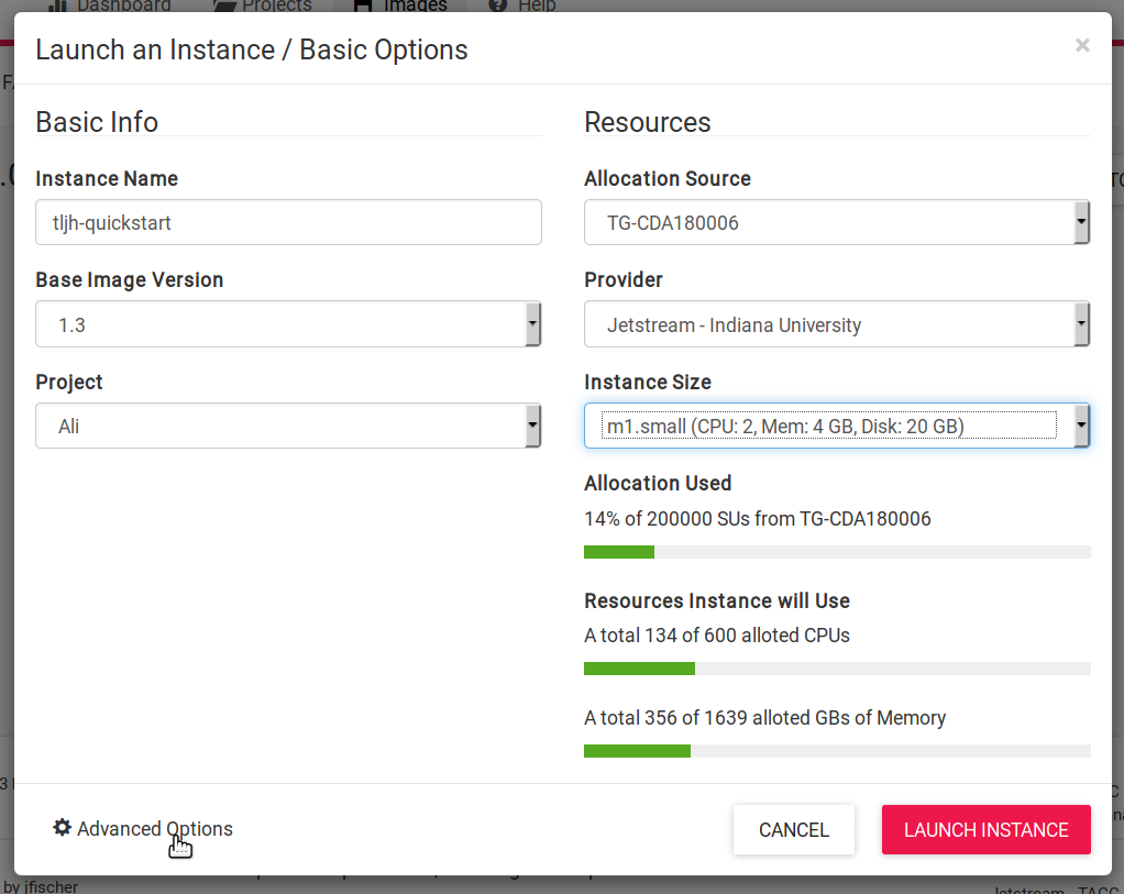 Launch an Instance / Basic Options dialog box